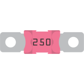 Victron MEGA Предохранитель 250A/58V для 48В - CIP137250010