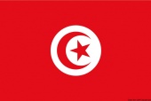 Osculati 35.438.01 - Флаг Туниса гостевой 20 х 30 см 