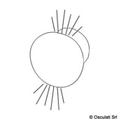 Osculati 13.188.23 - Круглый встроенный встраиваемый синий свет для лестницы вверх/вниз