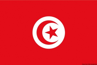 Osculati 35.438.01 - Флаг Туниса гостевой 20 х 30 см 