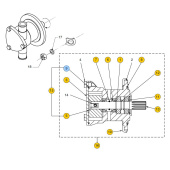 Vetus STM7696 O-ring impellerpump m2-m3-m4