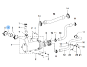 Vetus STM9618 Hose DT44/DTA44/ DT66/DTA66