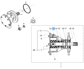 Vetus STM6167 Screw 